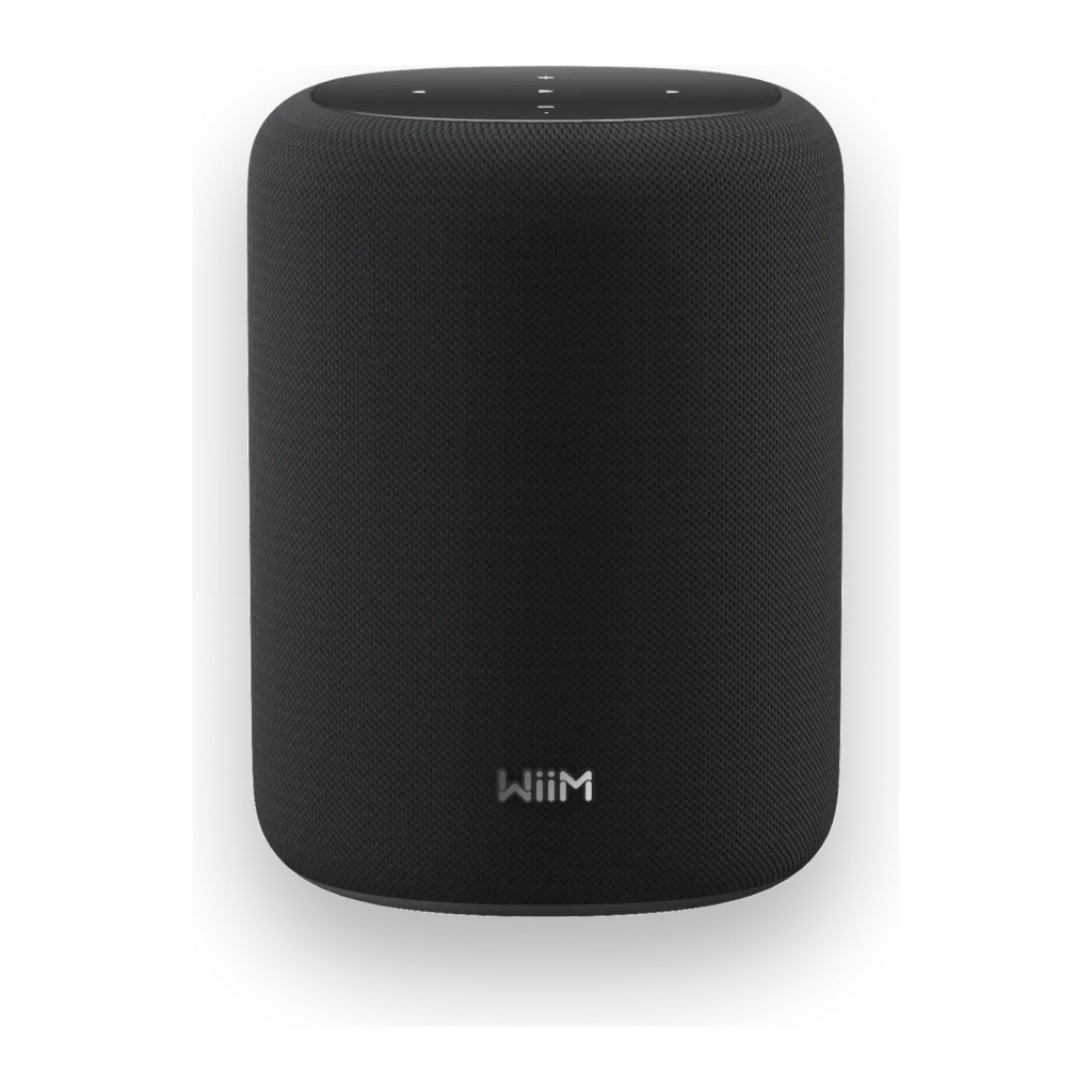 Wiim Sound Lite 100W WiFi 6 AirPlay Chromecast compatible con Alexa Altavoz Bluetooth 5.3