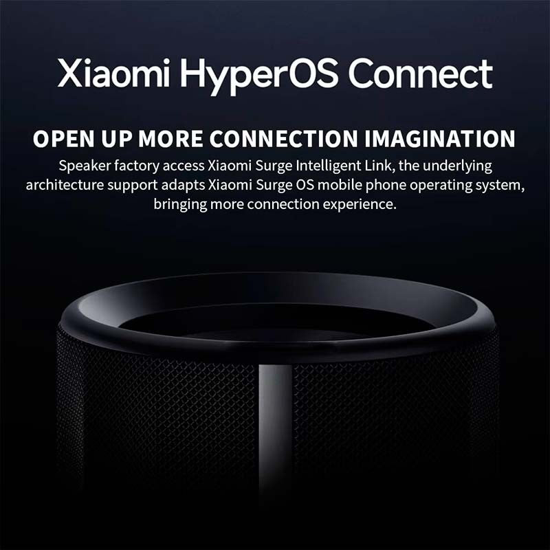 Xiaomi Bluetooth Speaker 40W