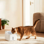 Xiaomi Smart Pet Fountain 2 - Fuente para Gatos 3L